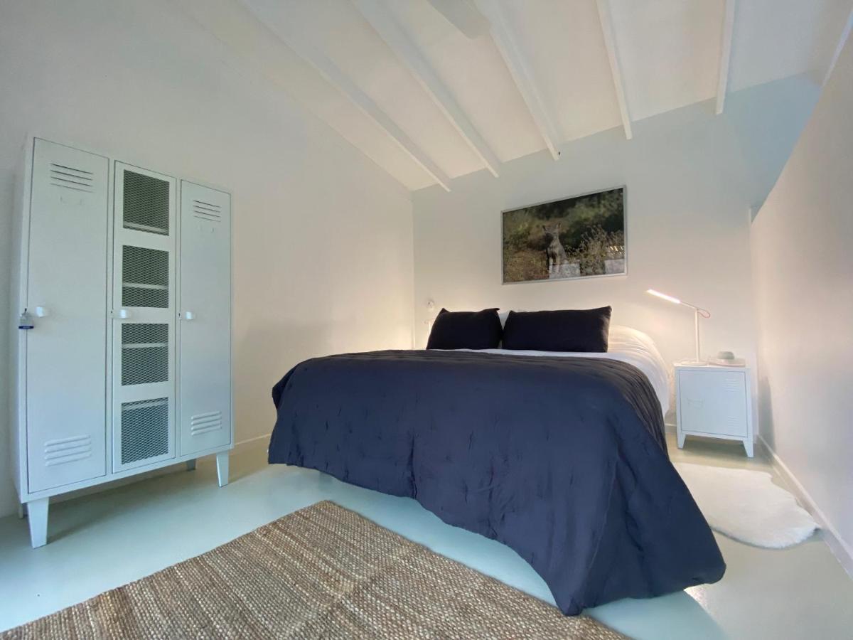 Glaciar De Roca Lofts Horcon  Luaran gambar